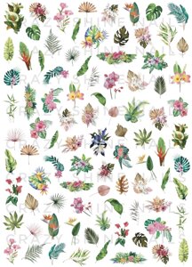 Слайдер Тропические цветы Crazy Shine Nails (размер 10 x 14)