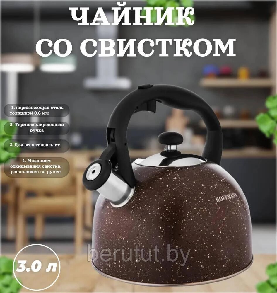 Чайник со свистком Hoffmann 3л для всех видов плит (индукция) от компании MyMarket - фото 1