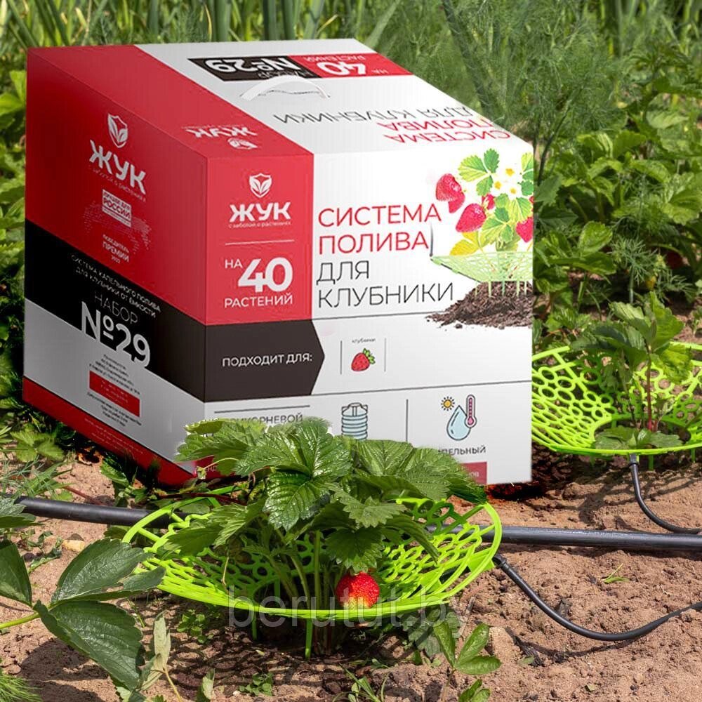 Капельный полив Жук от емкости для клубники 40 растений от компании MyMarket - фото 1