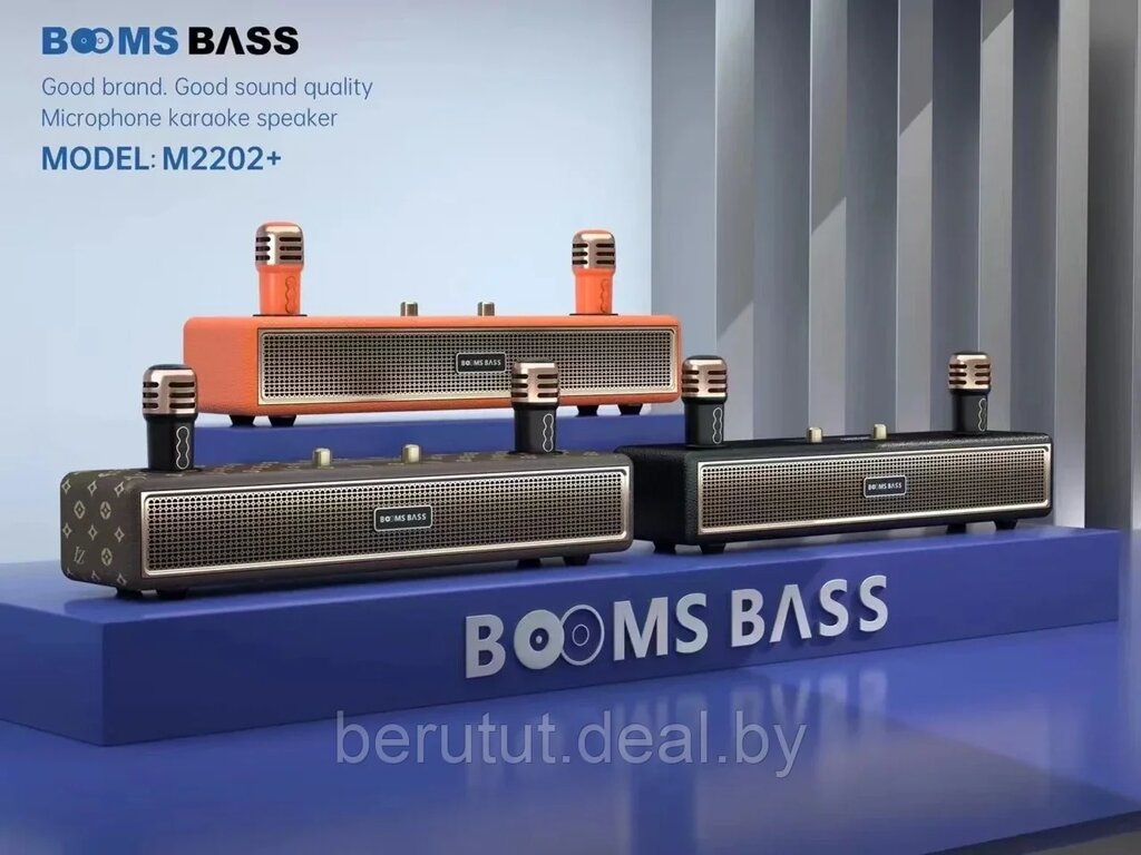 Караоке система для дома BOOMSBASS M2202+ с 2 микрофонами от компании MyMarket - фото 1