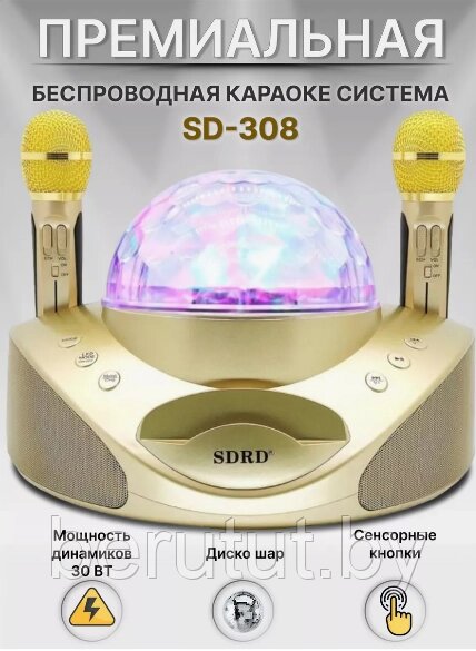 Караоке система для дома SDRD SD-308 с 2 микрофонами и дискошаром от компании MyMarket - фото 1