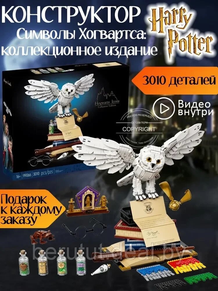 Конструктор Гарри Поттер (Harry Potter) Сова Букля 3018 деталей от компании MyMarket - фото 1