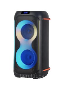 Колонка напольная акустическая NDR-610 с микрофоном