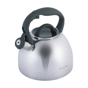 Чайник со свистком 2.7 л Kamille KM-1088
