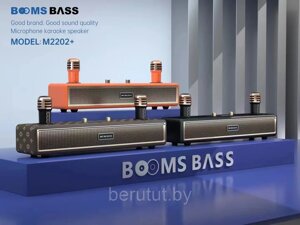 Караоке система для дома BOOMSBASS M2202+ с 2 микрофонами