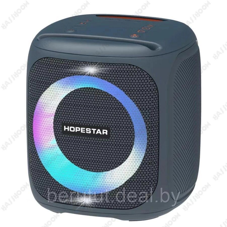 Портативная колонка Hopestar Party 100 с беспроводным микрофоном от компании MyMarket - фото 1