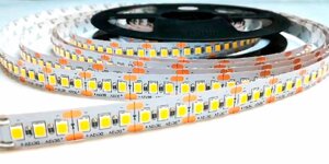 LED лента General GLS-2835-240-19,2-12-IP20-6 (Холодный белый) - 1 метр