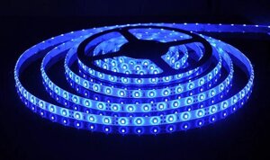 LED лента SMD 2835/60 SmartBuy-IP65-4.8W Синий - 1 метр