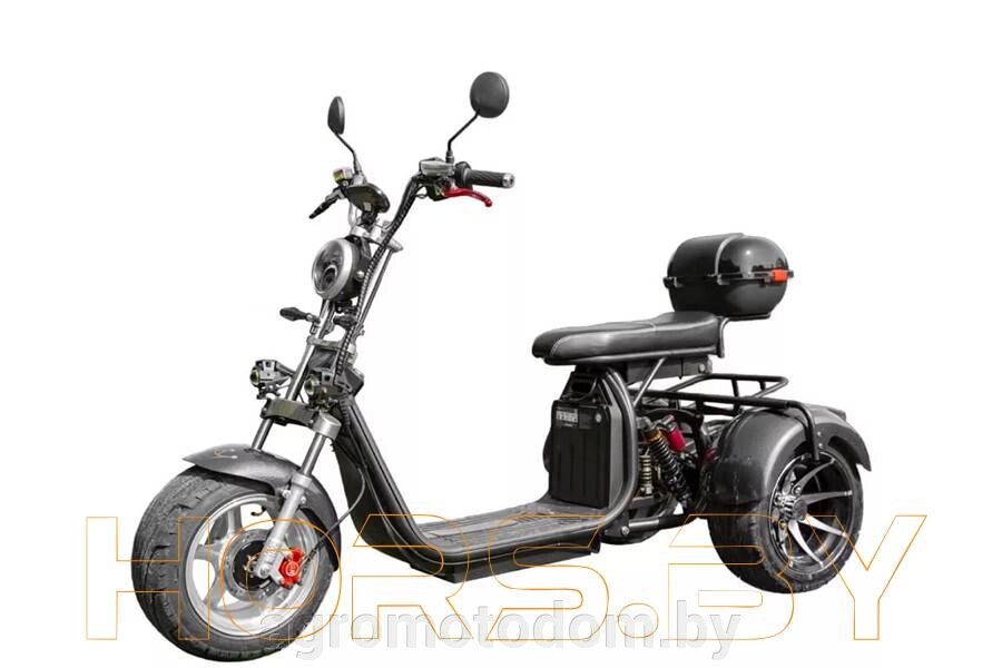 Электротрицикл Smart Balance X12 PRO Trike от компании Интернет магазин  агро-мото-дом - фото 1