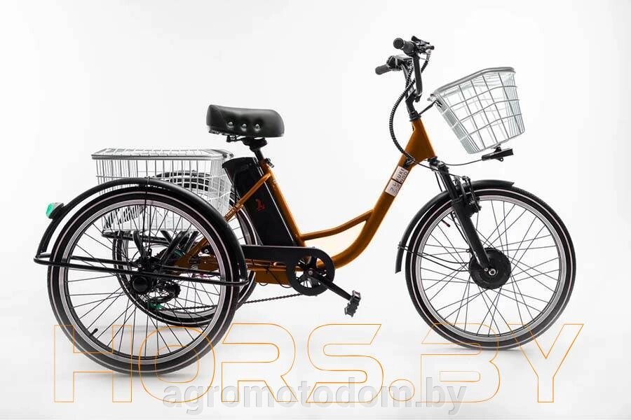 Электровелосипед FURENDO E-TRIKE 350 (оранжевый) от компании Интернет магазин  агро-мото-дом - фото 1