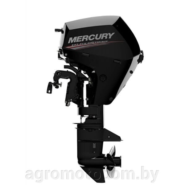 Лодочный мотор MERCURY F20 EPT EFI NEW от компании Интернет магазин  агро-мото-дом - фото 1