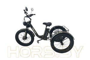 Электровелосипед SmartBalance Tank Trike