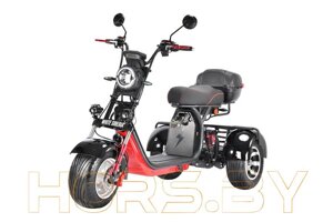 Электротрицикл WHITE SIBERIA PRO TRIKE 3000W (черный)