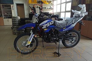 Мотоцикл Racer RC250GY-C2 Panther (синий)