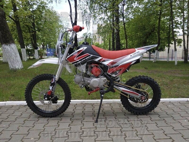 Питбайк Racer RC-CRF125E (красный) от компании Интернет магазин  агро-мото-дом - фото 1