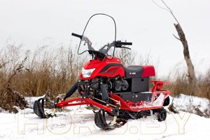 Снегоход DINGO T200 (красный)