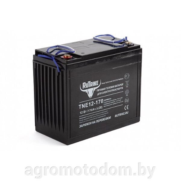 Тяговый гелевый аккумулятор RuTrike TNE 12-170 (12V135A/H C3) от компании Интернет магазин  агро-мото-дом - фото 1