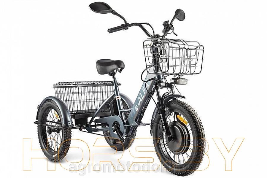 Велогибрид трицикл GREEN CITY e-ALFA Trike (синий) от компании Интернет магазин  агро-мото-дом - фото 1