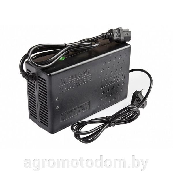 Зарядное устройство для свинцовых тяговых аккумуляторов 60V20A/H (2,8A) от компании Интернет магазин  агро-мото-дом - фото 1