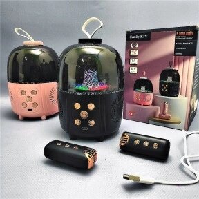 Беспроводная караоке система с двумя микрофонами  Family KTV Q-3 с подсветкой Черный от компании ART-DECO МАРКЕТ - магазин товаров для дома - фото 1