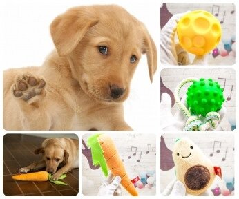 Набор игрушек для собак Счастливый пёс Fancy Pets, 4 в 1. SET1 от компании ART-DECO МАРКЕТ - магазин товаров для дома - фото 1