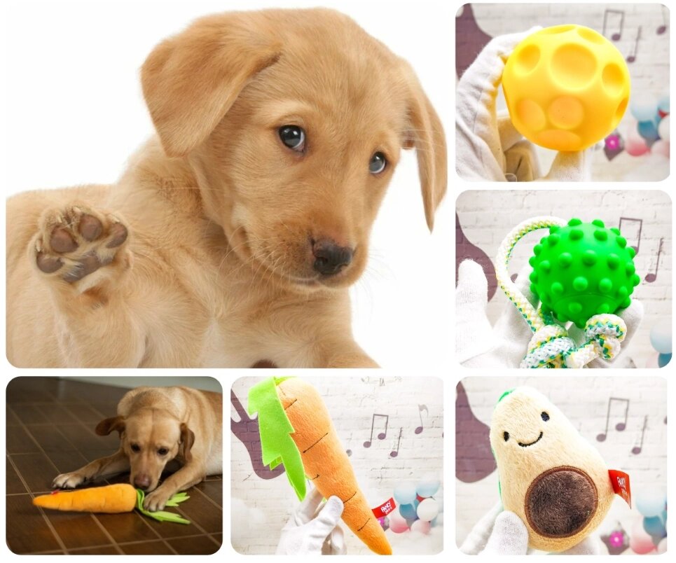 Набор игрушек для собак Счастливый пёс Fancy Pets, 4 в 1, SET1 от компании ART-DECO МАРКЕТ - магазин товаров для дома - фото 1