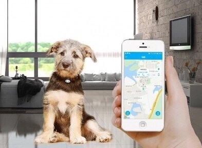 PET GPS Tracker для питомцев от компании bel-ok - магазин товаров для дома - фото 1