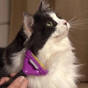 Щетка для вычесывания кошек и собак Fobnimarut / Расческа - чесалка с кнопкой - эджектором Фиолетовый (для