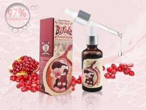 Сыворотка Elizavecca Witch Piggy Hell-Pore Ample 97, 50 мл Korea На основе бифидобактерий Elizavecca Hell-Pore Bifida