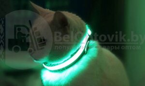 Светящийся ошейник для собак (3 режима) Glowing Dog Collar Черный М (MAX 45 sm)