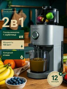 ГАРАНТИЯ ГОД! OULEMEI Соковыжималка OLM-YZA005 серый