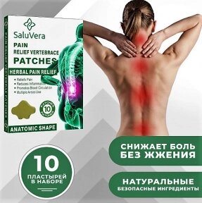 Пластырь обезболивающий для спины Hyllis / патч поясничный травяной 10 шт. в упаковке от компании bel-ok - магазин товаров для дома - фото 1