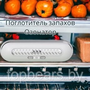 Поглотитель запахов для холодильника Refrigeratory Removing sapor ware / Озонатор для устранения и дезинфекции от компании ART-DECO МАРКЕТ - магазин товаров для дома - фото 1