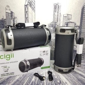 Портативная акустическая система Cigii S29 от компании ART-DECO МАРКЕТ - магазин товаров для дома - фото 1