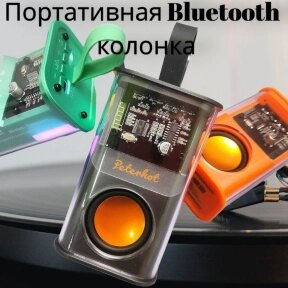 Портативная Bluetooth колонка Peterhot Battle Armour W5 с функцией TWS Черная от компании bel-ok - магазин товаров для дома - фото 1