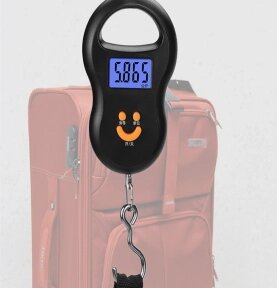 Портативные электронные весы (Безмен) Portable Electronic Scale до 50 кг / Карманные весы от компании ART-DECO МАРКЕТ - магазин товаров для дома - фото 1