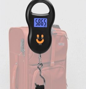 Портативные электронные весы (Безмен) Portable Electronic Scale до 50 кг / Карманные весы от компании bel-ok - магазин товаров для дома - фото 1