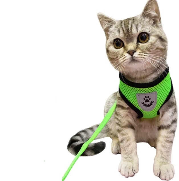 Шлейка прогулочная с поводком для собак и кошек мелких и средних пород Pet Leash / Дышащий жилет для животных, Зеленый от компании bel-ok - магазин товаров для дома - фото 1