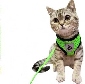 Шлейка прогулочная с поводком для собак и кошек мелких и средних пород Pet Leash / Дышащий жилет для животных от компании ART-DECO МАРКЕТ - магазин товаров для дома - фото 1