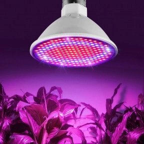 Светодиодная энергосберегающая фитолампа QRCP-00414, фиолетовый свет (цоколь Е27) 50 Вт, для поддержания роста от компании ART-DECO МАРКЕТ - магазин товаров для дома - фото 1