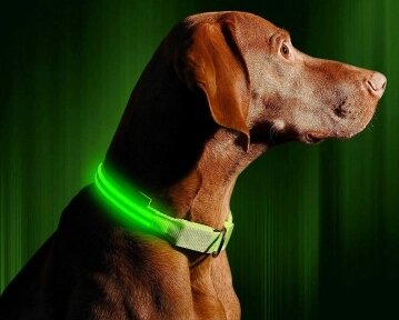 Светящийся ошейник для собак (3 режима) Glowing Dog Collar Зеленый М (MAX 45 sm) от компании bel-ok - магазин товаров для дома - фото 1