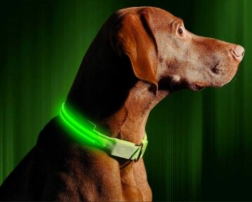 Светящийся ошейник для собак (3 режима) Glowing Dog Collar Зеленый S (MAX 40 sm) от компании bel-ok - магазин товаров для дома - фото 1