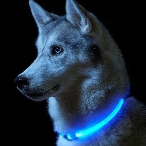 Светящийся ошейник для собак (3 режима, зарядка USB)  Синий (Blue), размер М от компании ART-DECO МАРКЕТ - магазин товаров для дома - фото 1