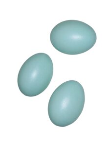 Яйцо подкладное голубиное