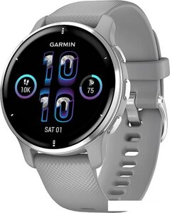 Умные часы Garmin Venu 2 Plus (серебристый/серый)