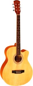 Акустическая гитара Elitaro E4010 N