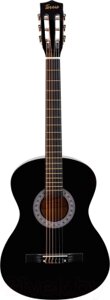 Акустическая гитара Terris TC-3805A BK
