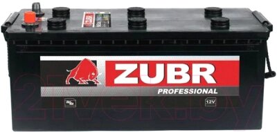 Автомобильный аккумулятор Zubr Professional R+ от компании Товары с доставкой на дом. Top-shop. - фото 1