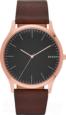 Часы наручные мужские Skagen SKW6330