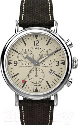 Часы наручные мужские Timex TW2V43800